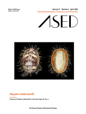 issue book cover